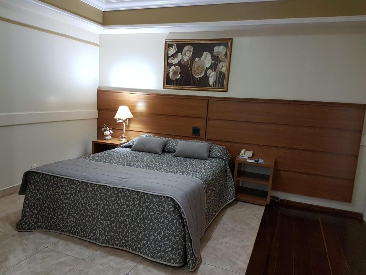Tamareiras Park Hotel Uberaba Extérieur photo